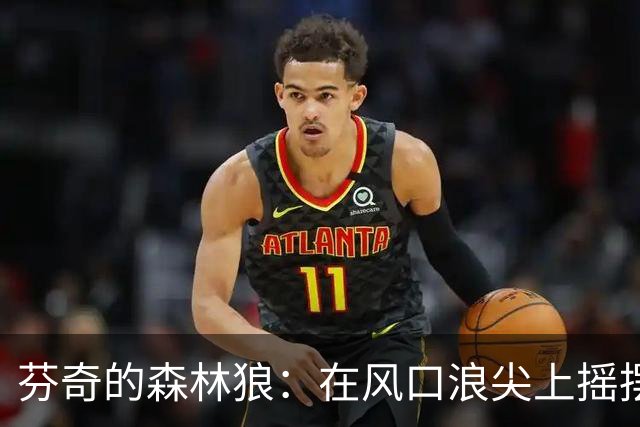 芬奇的森林狼：在风口浪尖上摇摆的高风险舞者
